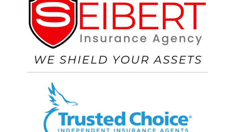 Steve Seibert Agency